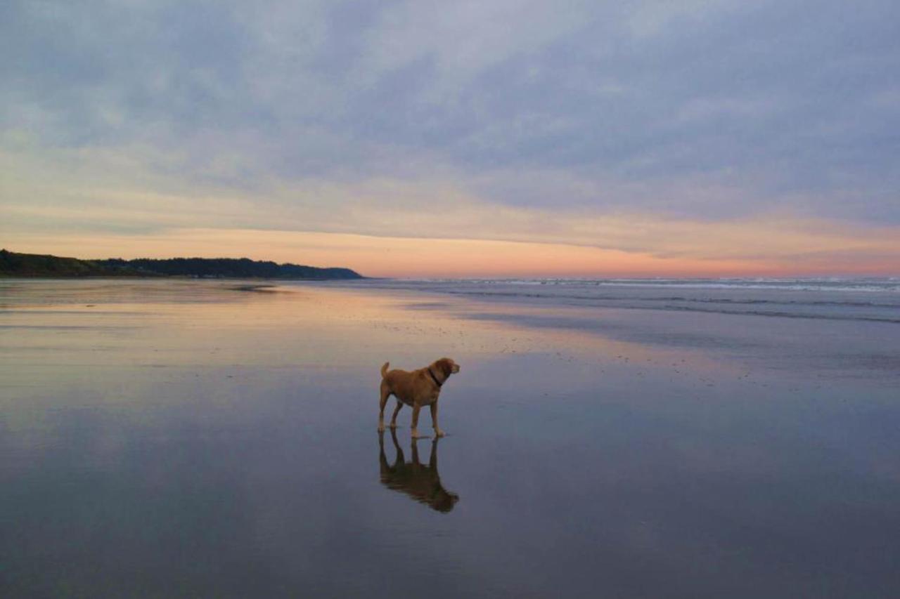 Sea Perch Βίλα Pacific Beach Εξωτερικό φωτογραφία