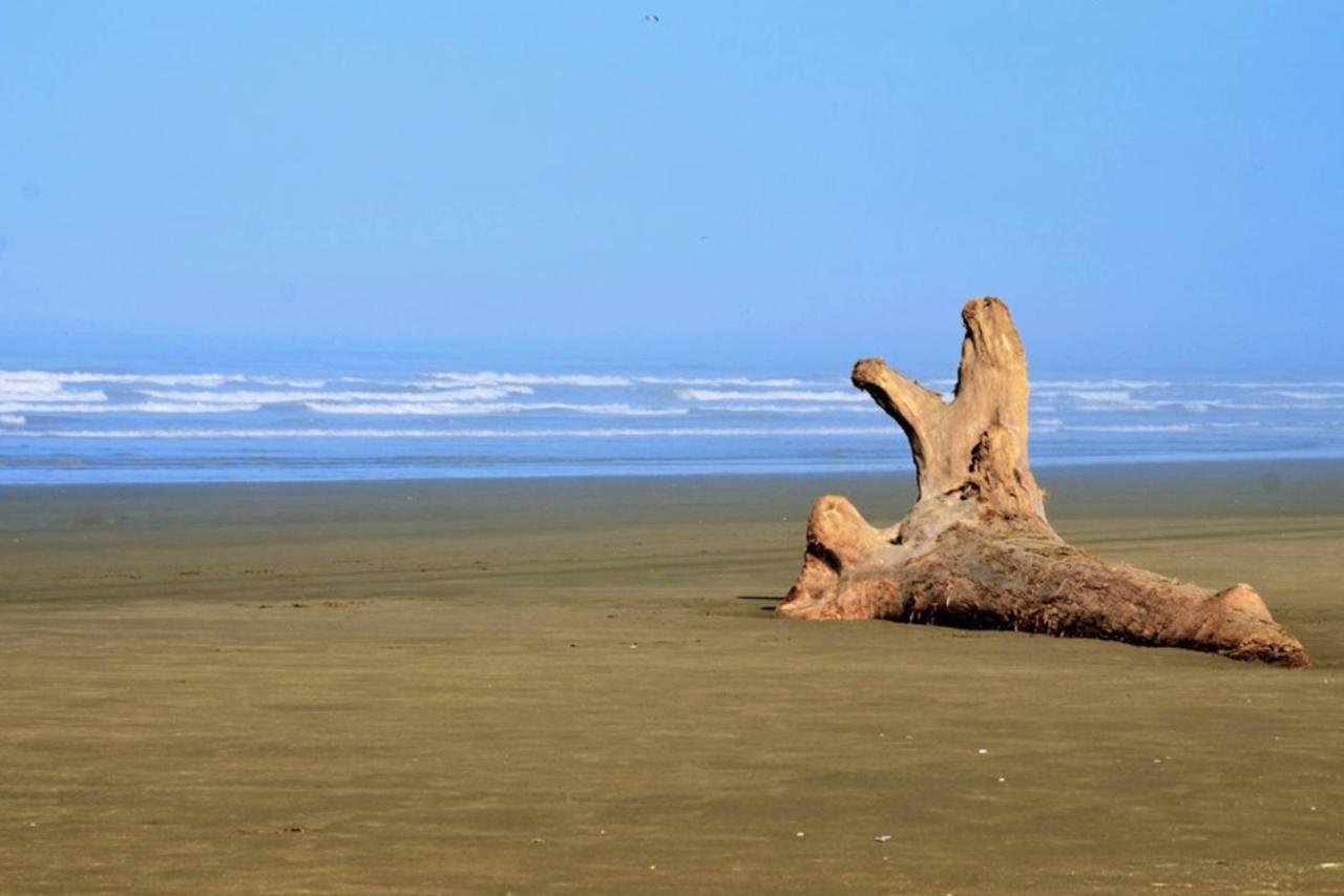 Sea Perch Βίλα Pacific Beach Εξωτερικό φωτογραφία